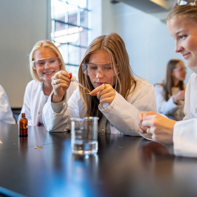 Laben på Akademiet VGS Drammen Sundland