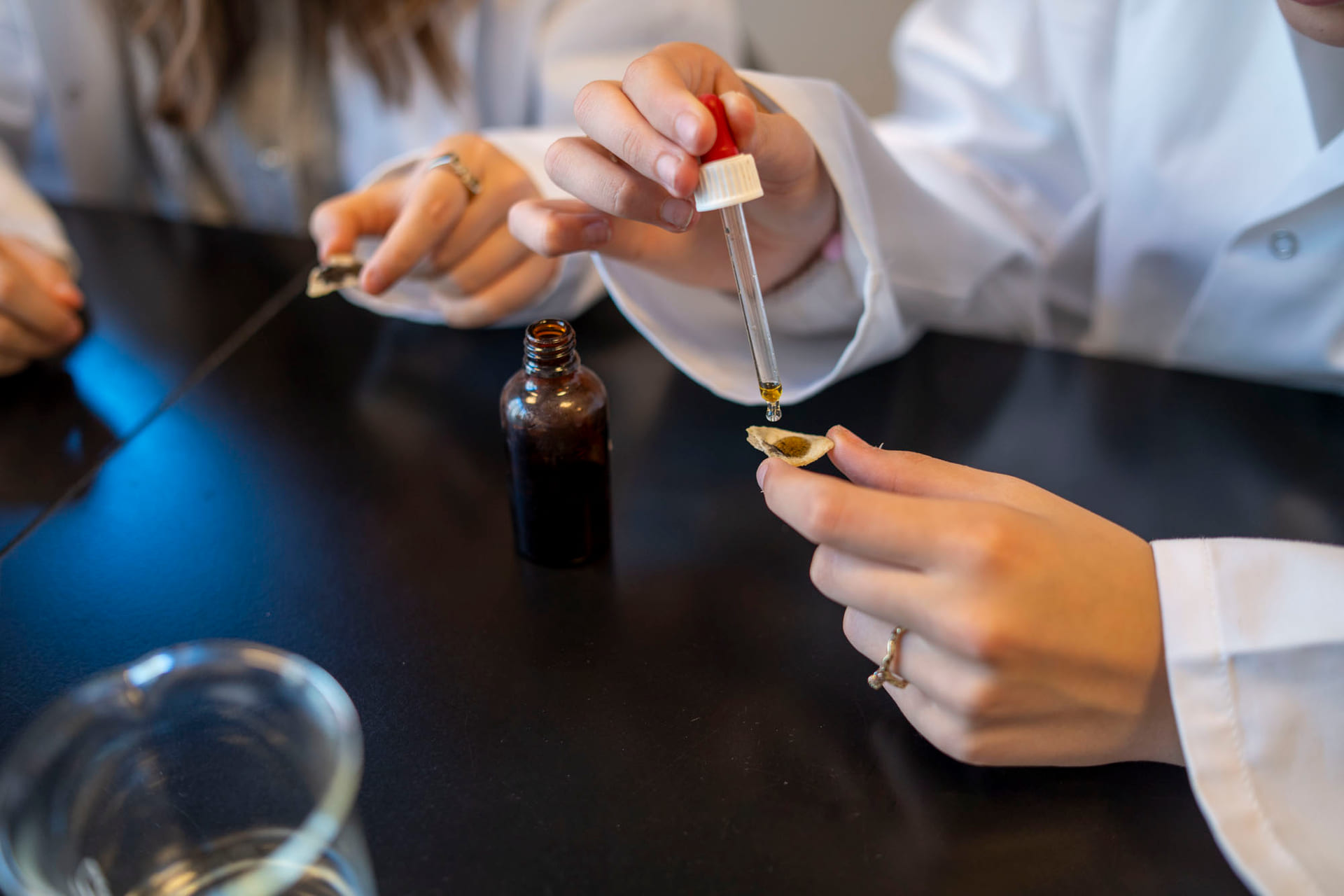 Laben på Akademiet VGS Drammen Sundland