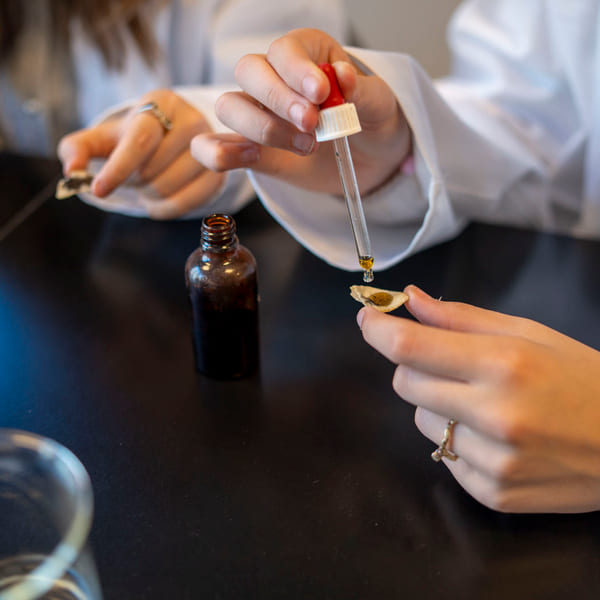 Laben på Akademiet VGS Drammen Sundland