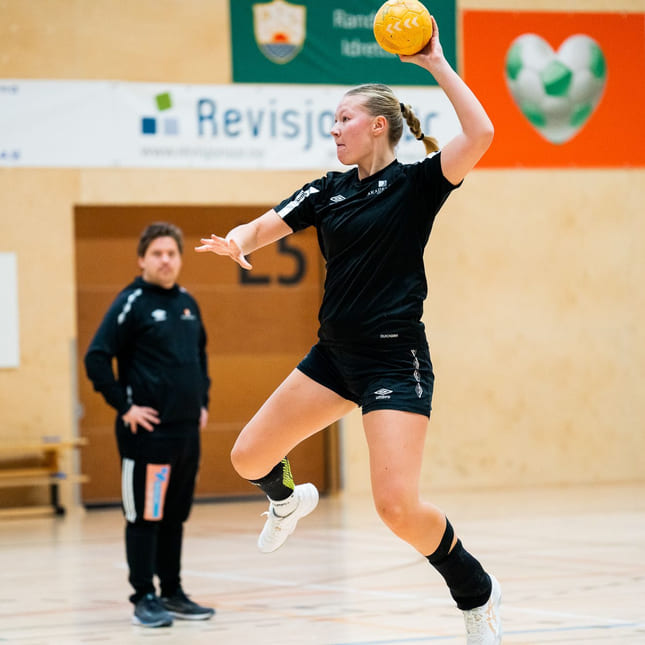 Håndball