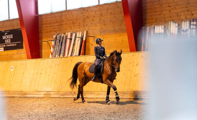 Toppidrett med hest på Akademiet VGS Kristiansand.