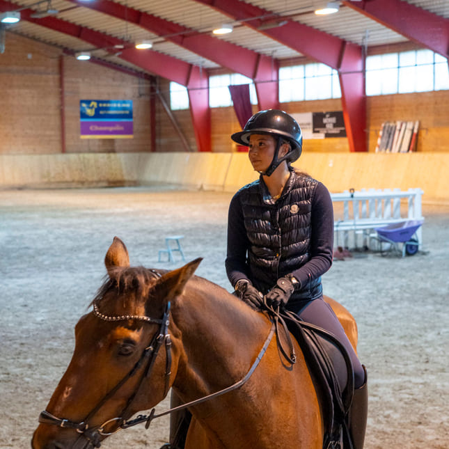 Toppidrett med hest på Akademiet VGS Kristiansand.