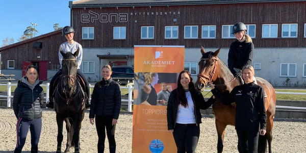 Hest