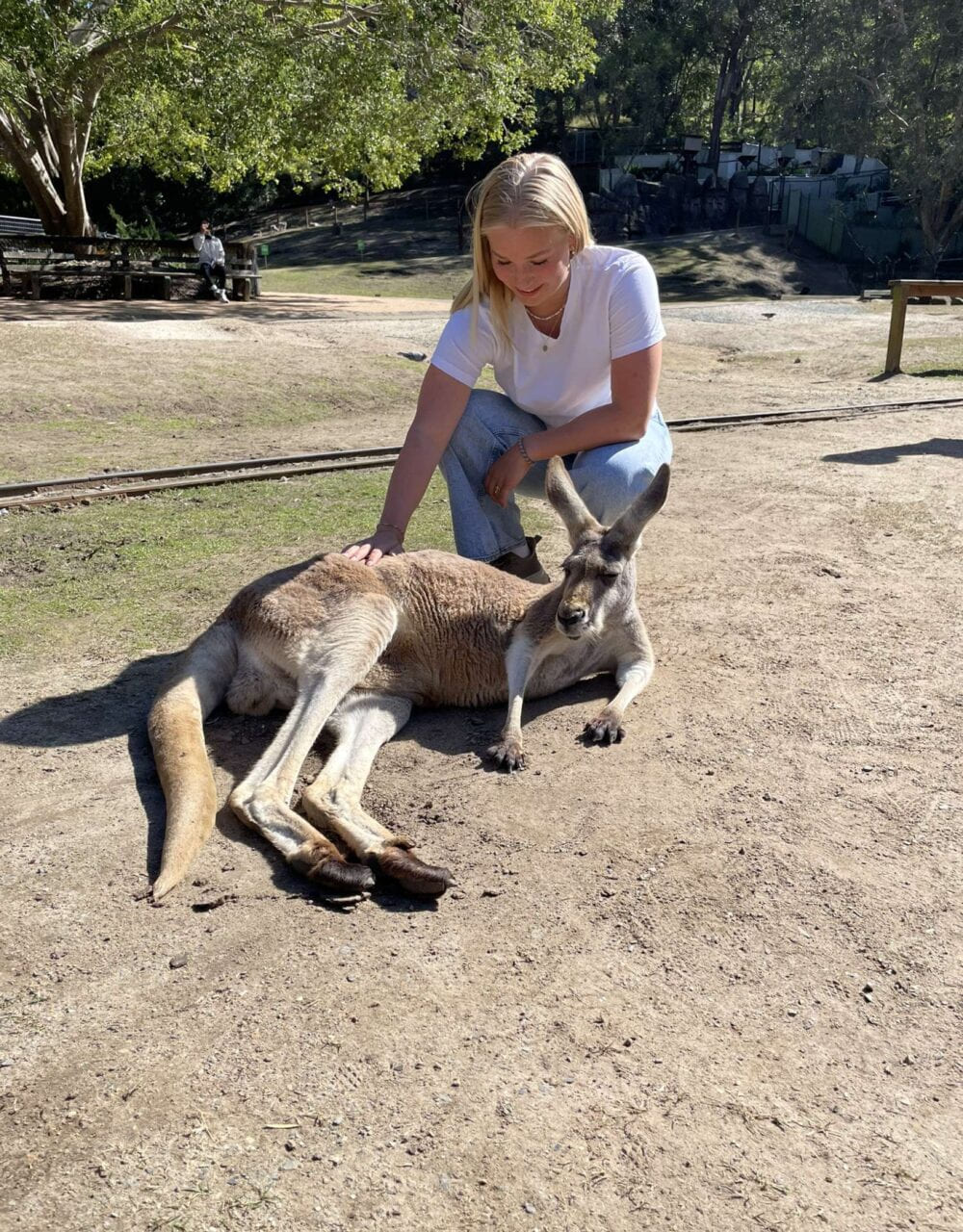 Marthea med kenguru på utveksling i Australia