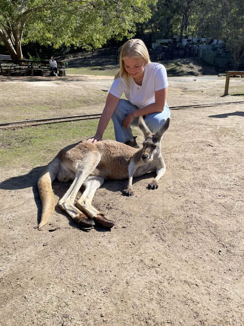 Marthea med kenguru på utveksling i Australia