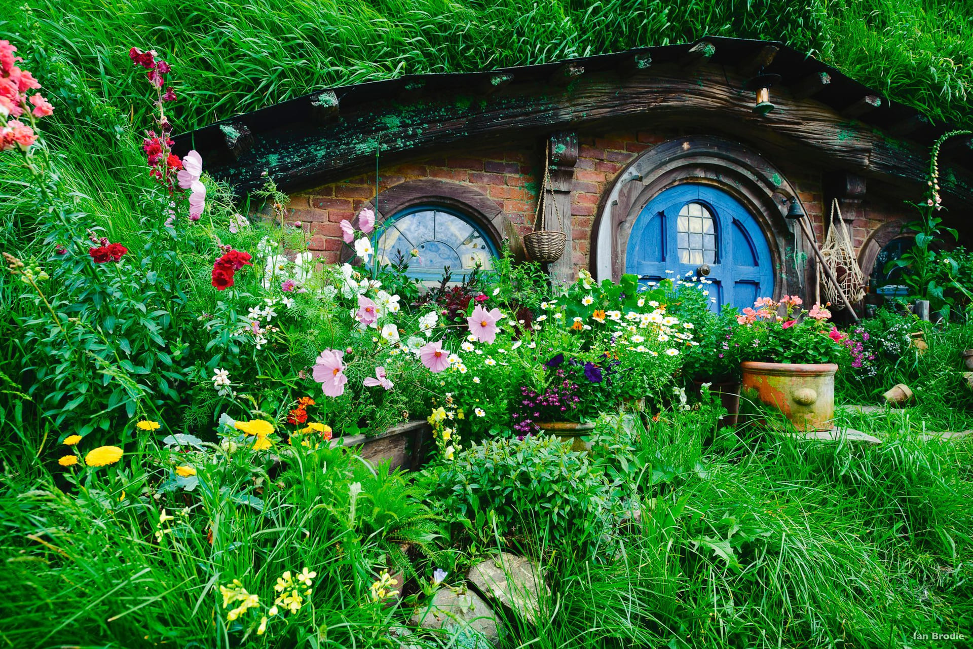 Hobbit-lignende hytte i New Zealand.
