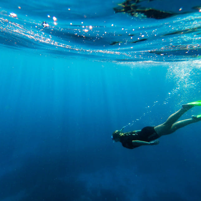 En person dykker i Australia.