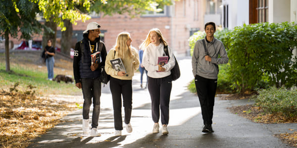 Fire elever på Akademiet VGS Heltberg Bislett går langs en vei med grønne trær rundt seg