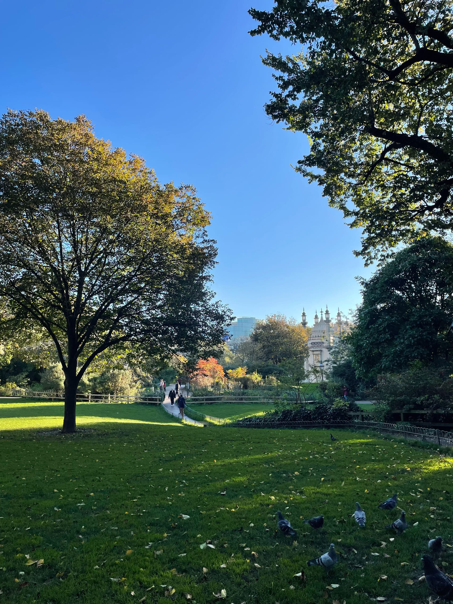 En grønn park i Brighton