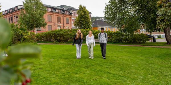Tre elever går bortover en gressplen med Akademiet Videregående Skole i bakgrunnen