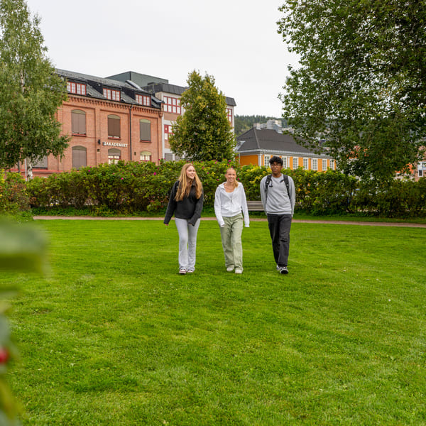 Tre elever går bortover en gressplen med Akademiet Videregående Skole i bakgrunnen