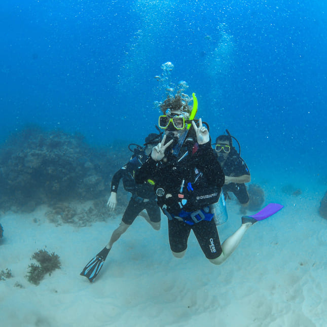 Katja dykker i Great Barrier Reef i Australia