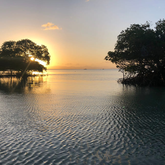 Utsikten i Cairns, Australia