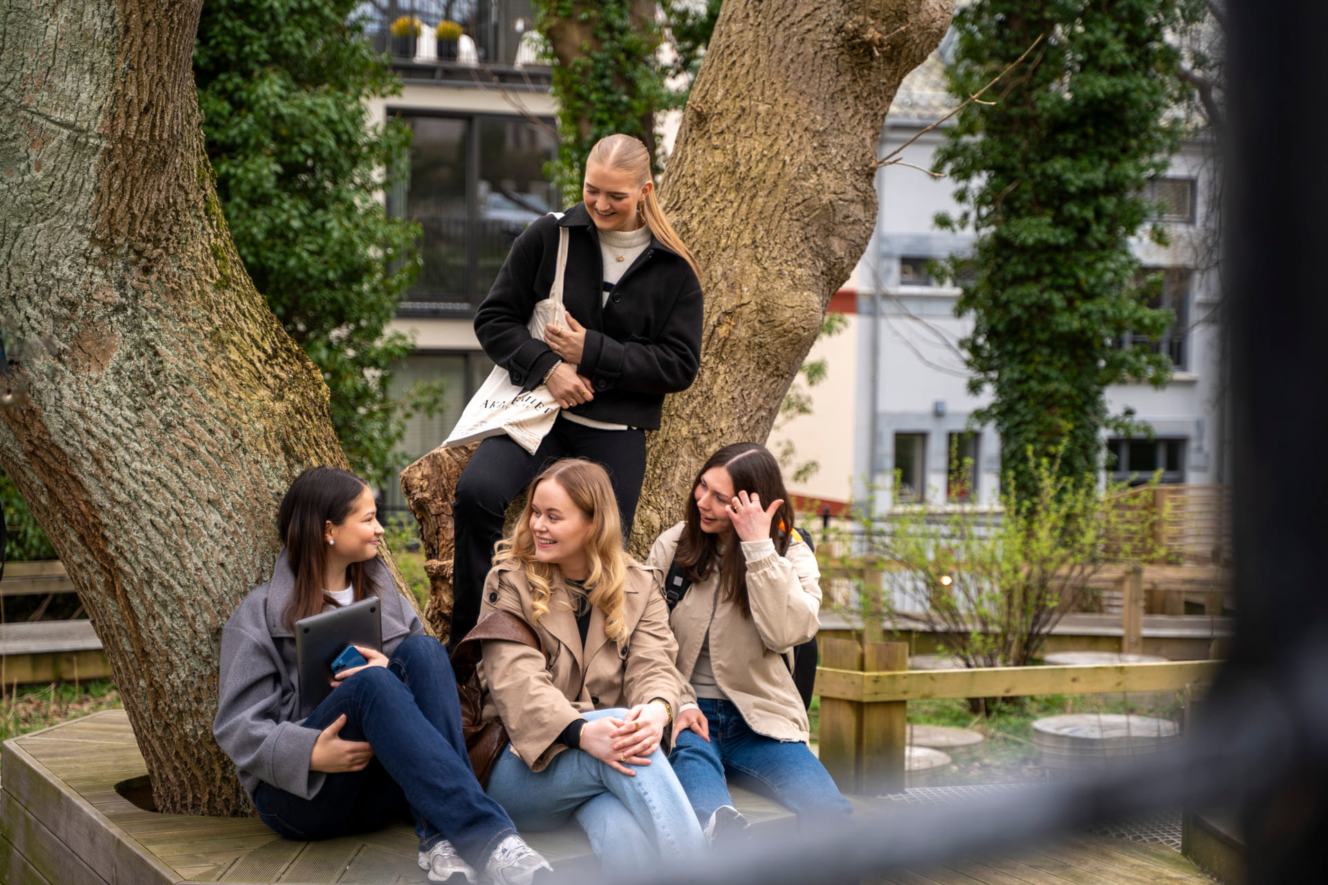 Fire jenter sitter rundt et tre med skolesekk og -vesker.