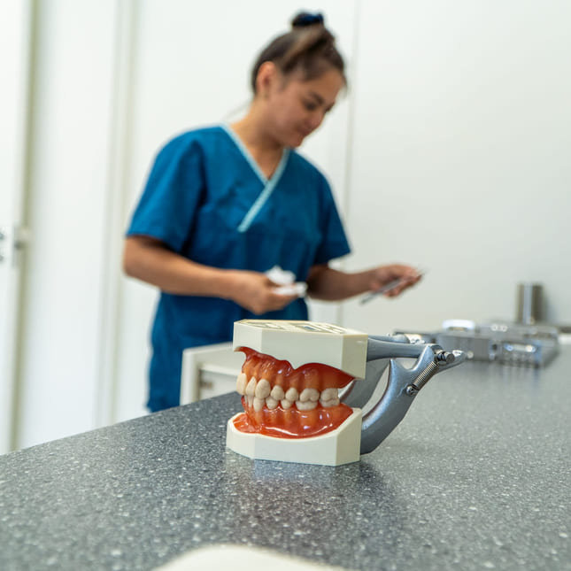 Modell av tann står på en benk. Tannhelsesekretær ser etter utstyr i bakgrunnen.