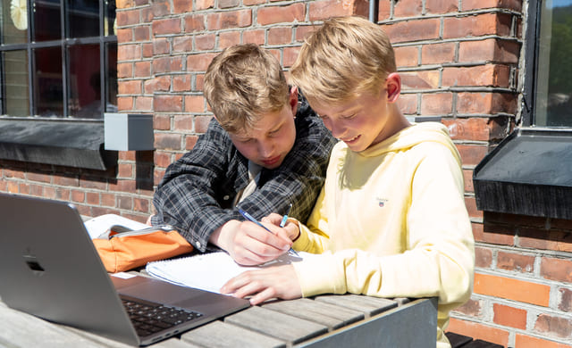 To elever jobber sammen om skolefag utendørs.