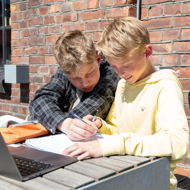 To elever jobber sammen om skolefag utendørs.