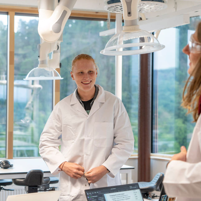 Erling Skåre Vik-Mo