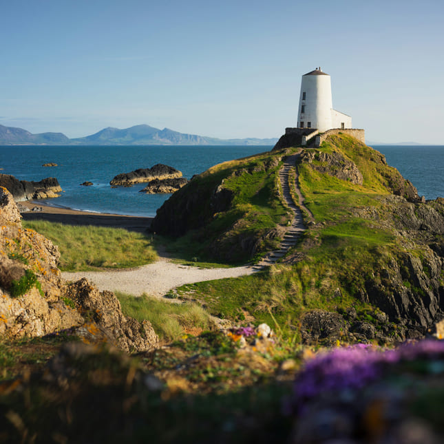 Naturen i Wales