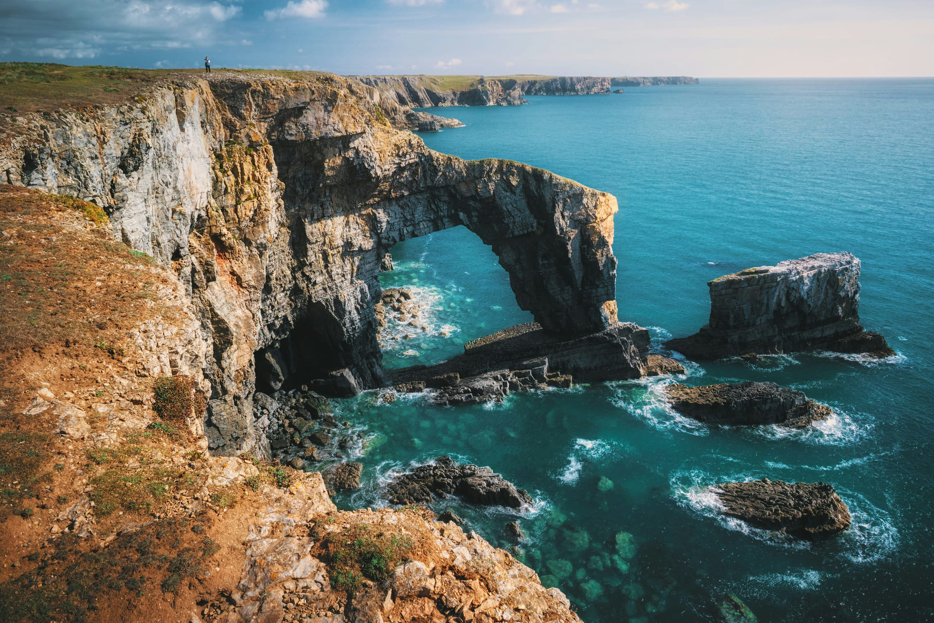 Naturen i Wales