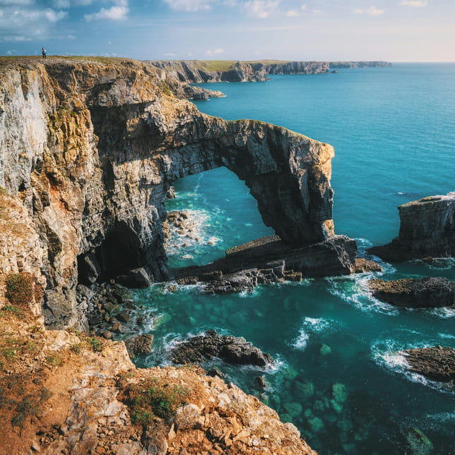 Naturen i Wales