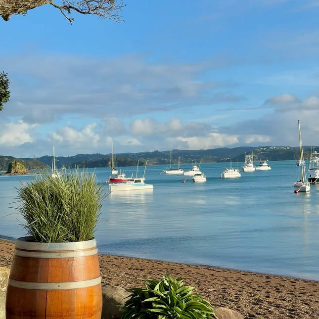 Båtlivet og havna i New zealand